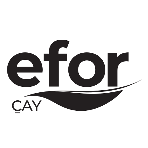 Efor Çay